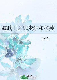 海贼王之思麦尔和拉芙